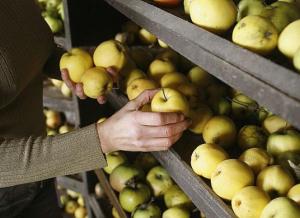 eb091119-004-l650-h474-c